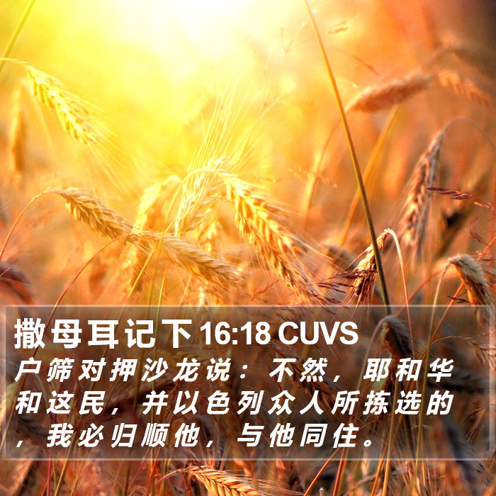 撒 母 耳 记 下 16:18 CUVS Bible Study