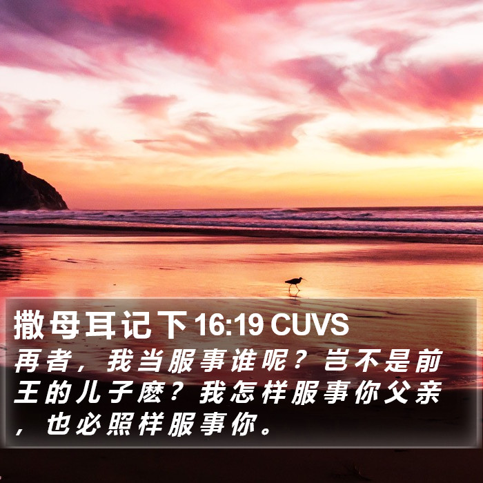 撒 母 耳 记 下 16:19 CUVS Bible Study