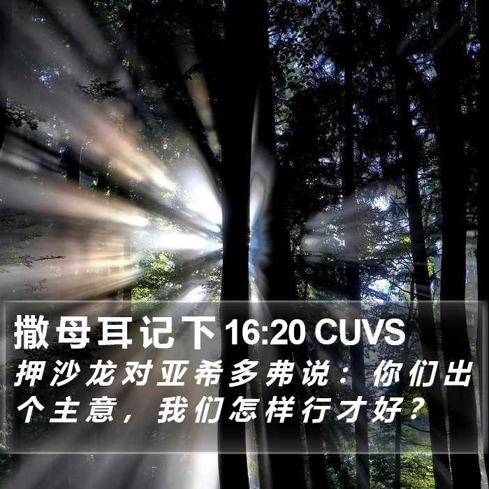 撒 母 耳 记 下 16:20 CUVS Bible Study