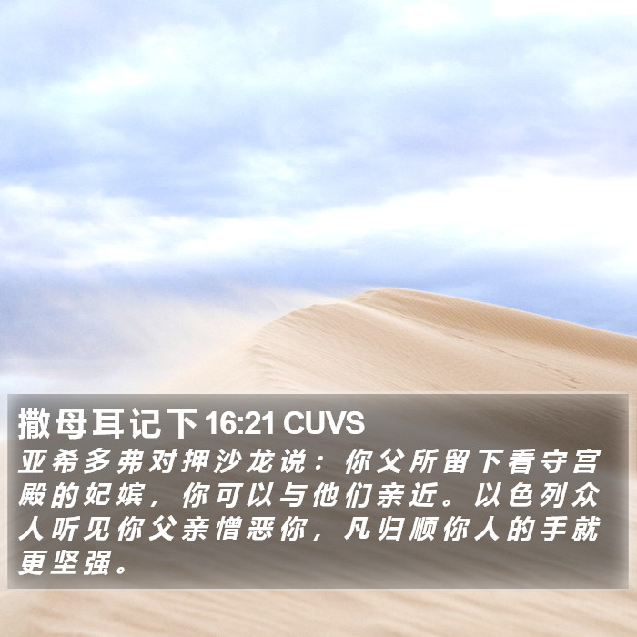 撒 母 耳 记 下 16:21 CUVS Bible Study