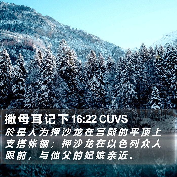 撒 母 耳 记 下 16:22 CUVS Bible Study