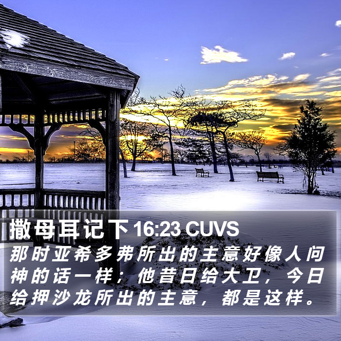 撒 母 耳 记 下 16:23 CUVS Bible Study