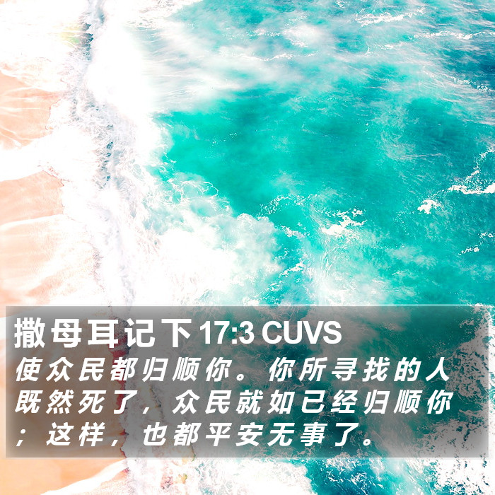 撒 母 耳 记 下 17:3 CUVS Bible Study