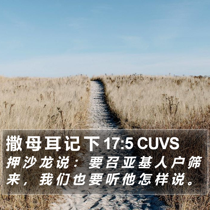 撒 母 耳 记 下 17:5 CUVS Bible Study