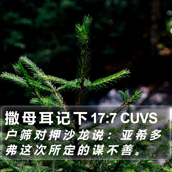 撒 母 耳 记 下 17:7 CUVS Bible Study