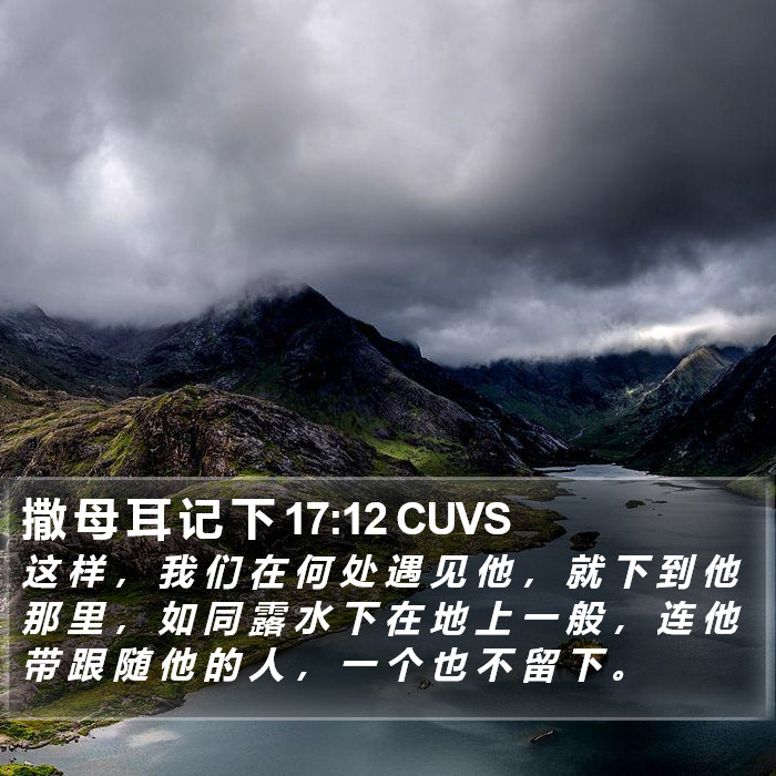 撒 母 耳 记 下 17:12 CUVS Bible Study