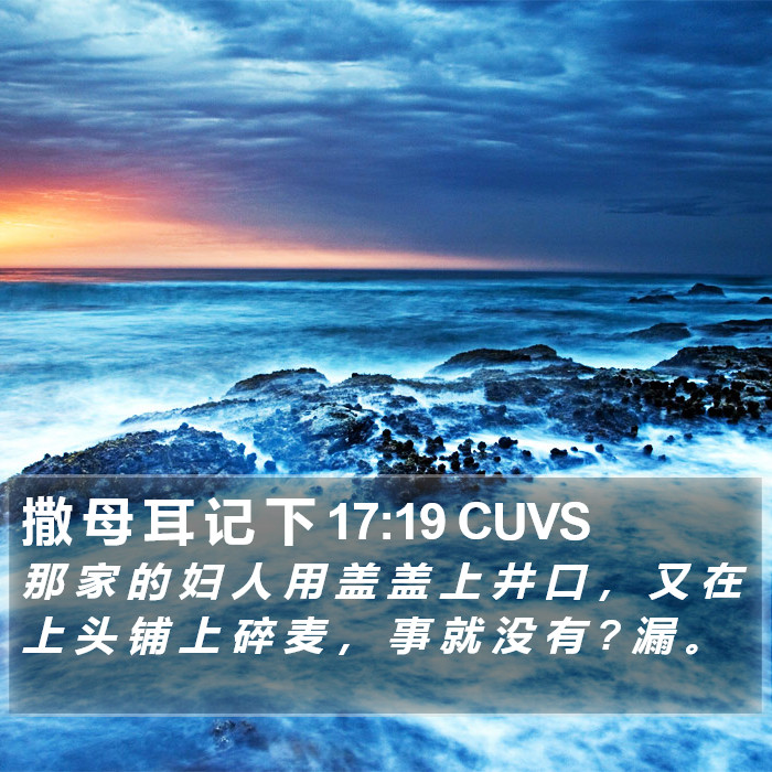 撒 母 耳 记 下 17:19 CUVS Bible Study
