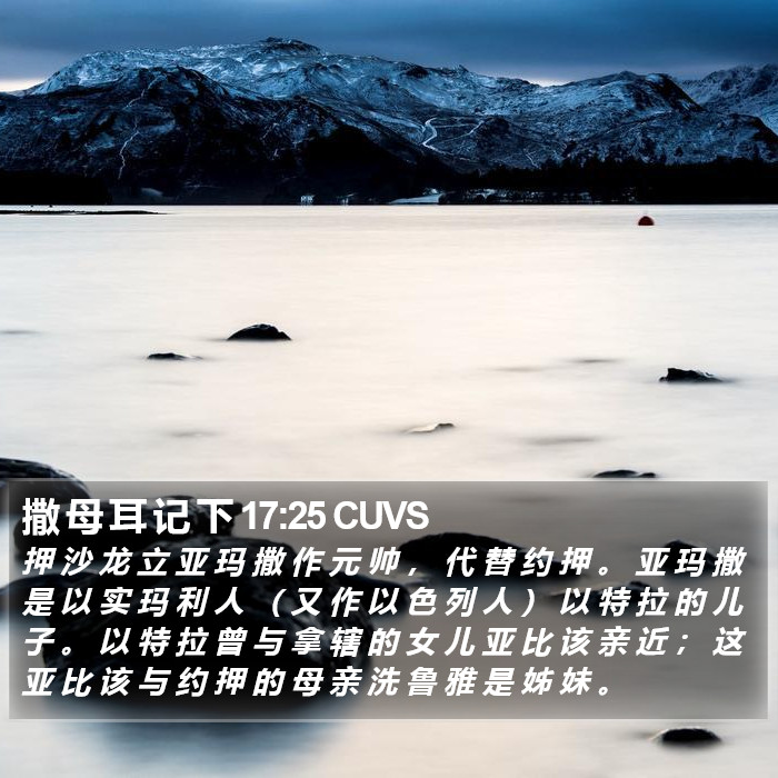 撒 母 耳 记 下 17:25 CUVS Bible Study