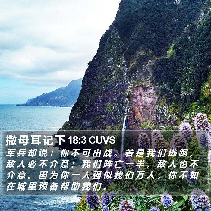 撒 母 耳 记 下 18:3 CUVS Bible Study