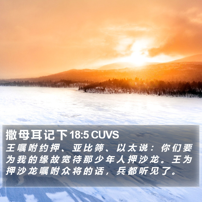 撒 母 耳 记 下 18:5 CUVS Bible Study