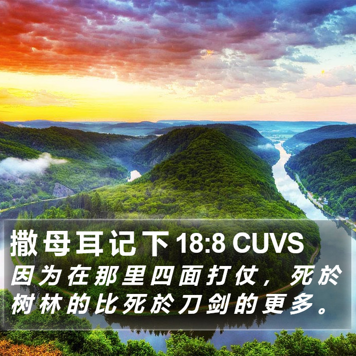 撒 母 耳 记 下 18:8 CUVS Bible Study