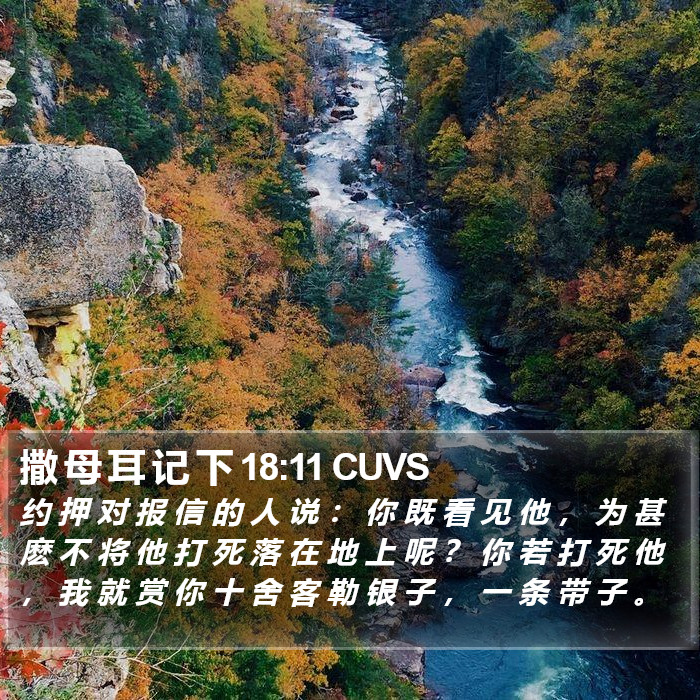 撒 母 耳 记 下 18:11 CUVS Bible Study