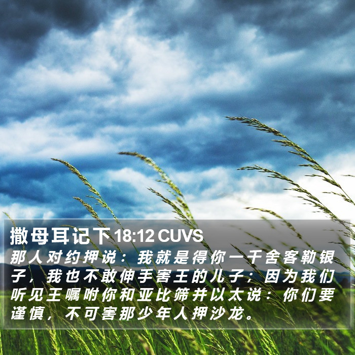 撒 母 耳 记 下 18:12 CUVS Bible Study