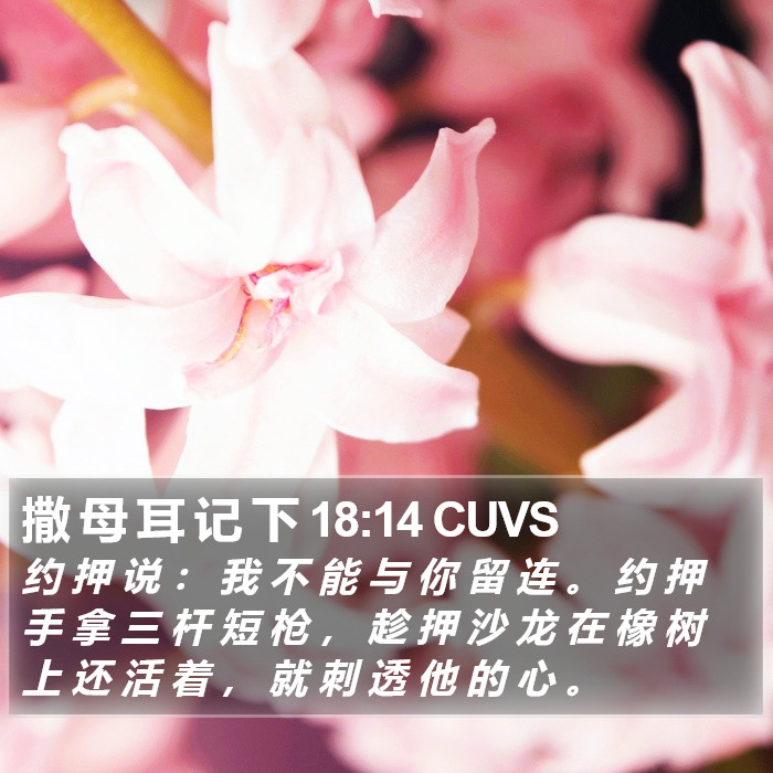 撒 母 耳 记 下 18:14 CUVS Bible Study