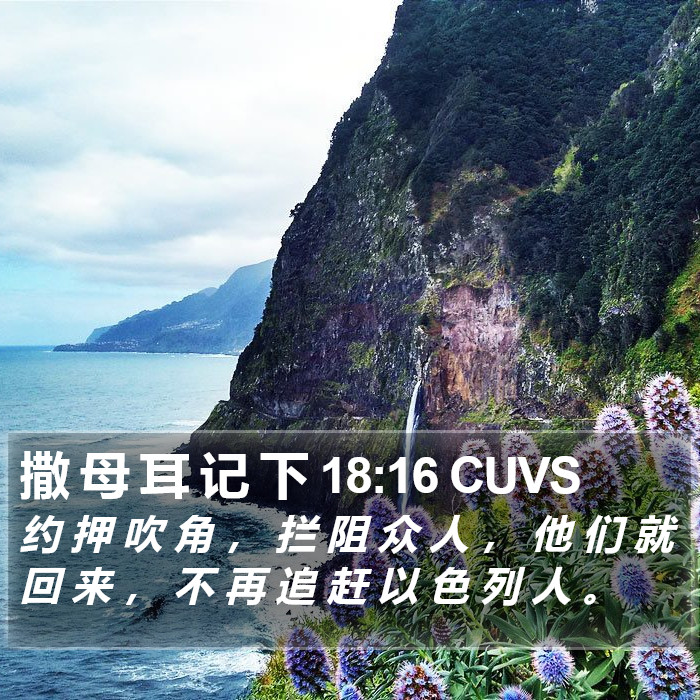 撒 母 耳 记 下 18:16 CUVS Bible Study