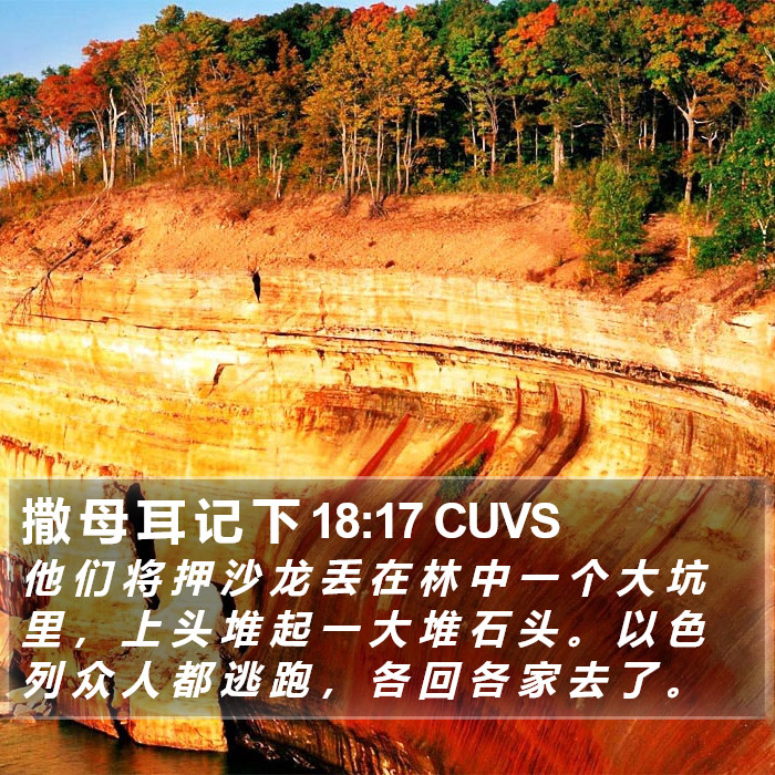 撒 母 耳 记 下 18:17 CUVS Bible Study