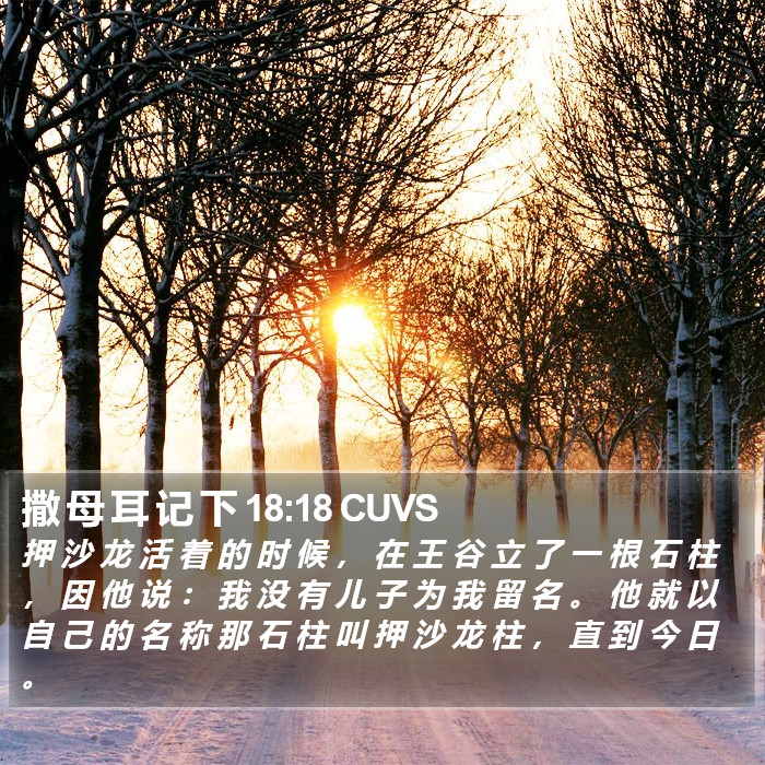 撒 母 耳 记 下 18:18 CUVS Bible Study