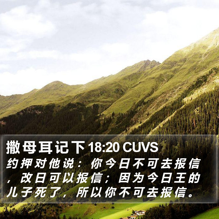 撒 母 耳 记 下 18:20 CUVS Bible Study