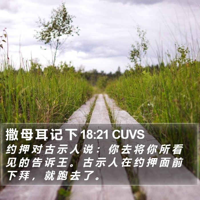 撒 母 耳 记 下 18:21 CUVS Bible Study