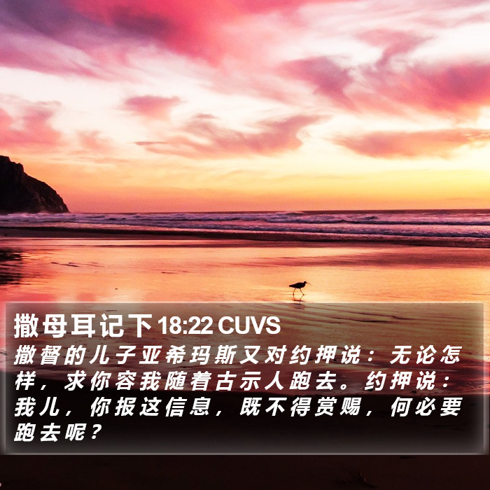 撒 母 耳 记 下 18:22 CUVS Bible Study