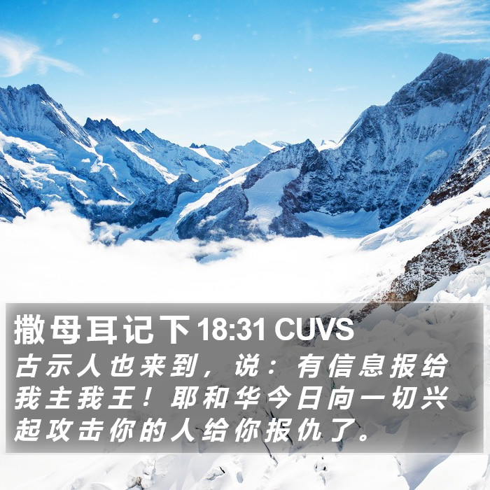 撒 母 耳 记 下 18:31 CUVS Bible Study