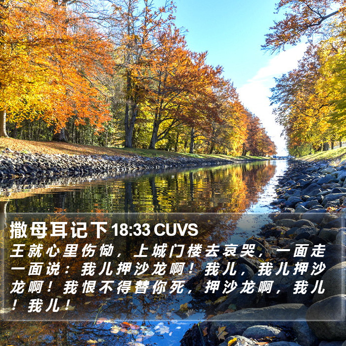 撒 母 耳 记 下 18:33 CUVS Bible Study