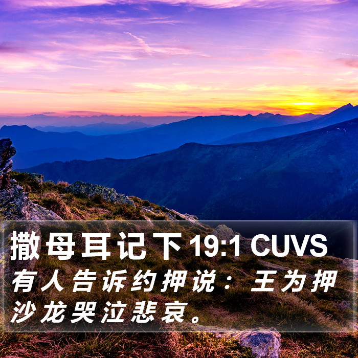 撒 母 耳 记 下 19:1 CUVS Bible Study