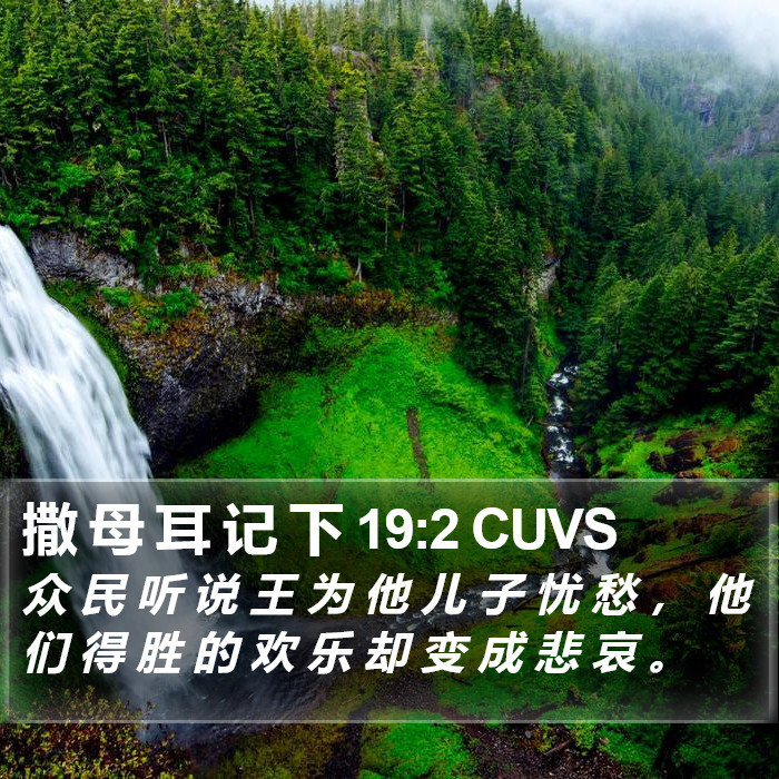 撒 母 耳 记 下 19:2 CUVS Bible Study