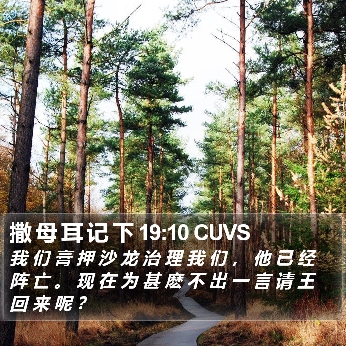 撒 母 耳 记 下 19:10 CUVS Bible Study