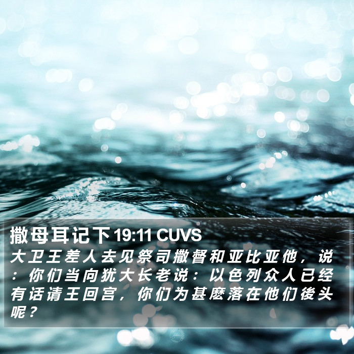 撒 母 耳 记 下 19:11 CUVS Bible Study