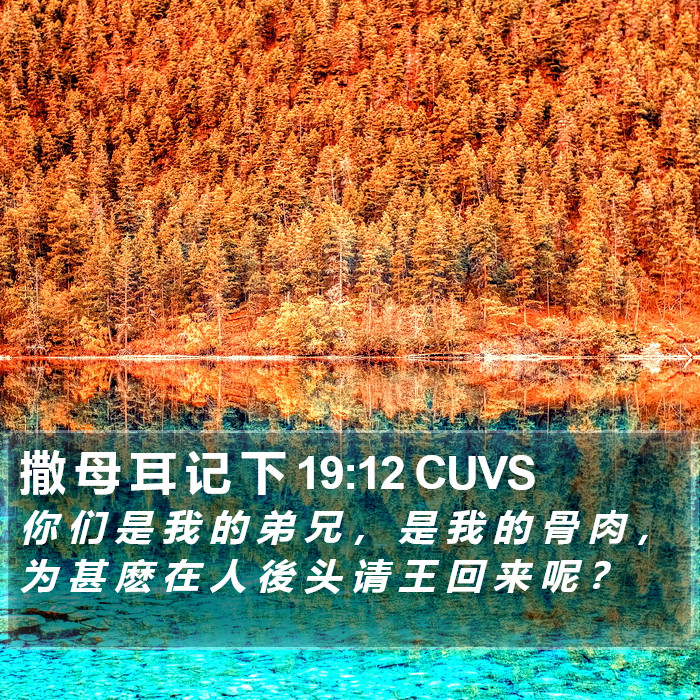 撒 母 耳 记 下 19:12 CUVS Bible Study