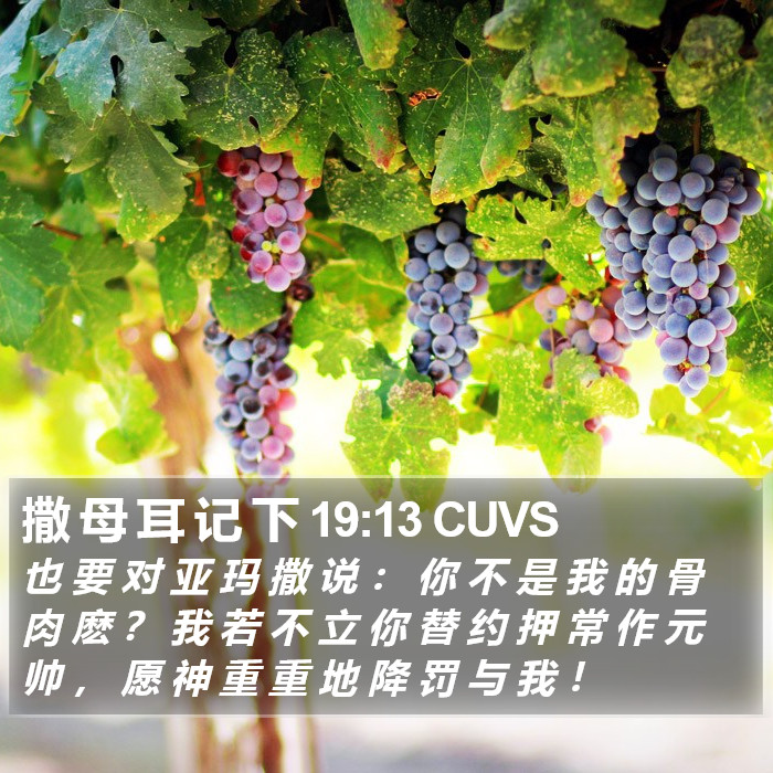 撒 母 耳 记 下 19:13 CUVS Bible Study