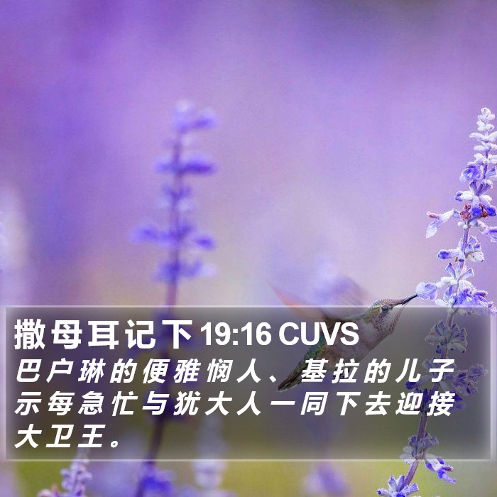 撒 母 耳 记 下 19:16 CUVS Bible Study