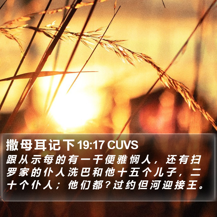 撒 母 耳 记 下 19:17 CUVS Bible Study