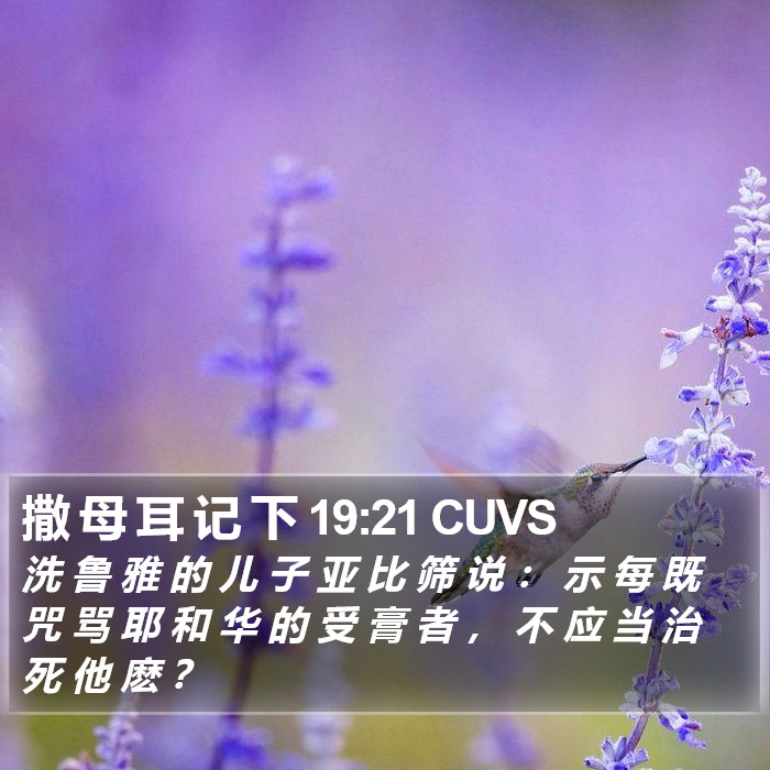 撒 母 耳 记 下 19:21 CUVS Bible Study