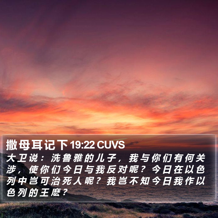 撒 母 耳 记 下 19:22 CUVS Bible Study