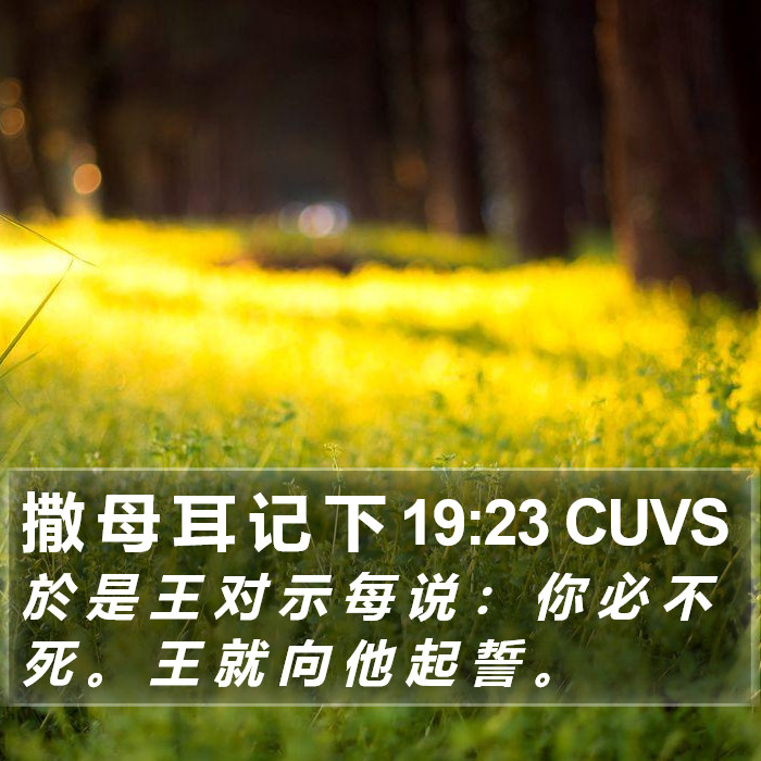 撒 母 耳 记 下 19:23 CUVS Bible Study