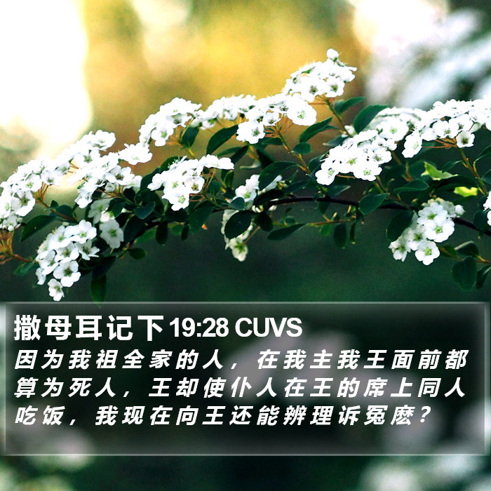 撒 母 耳 记 下 19:28 CUVS Bible Study