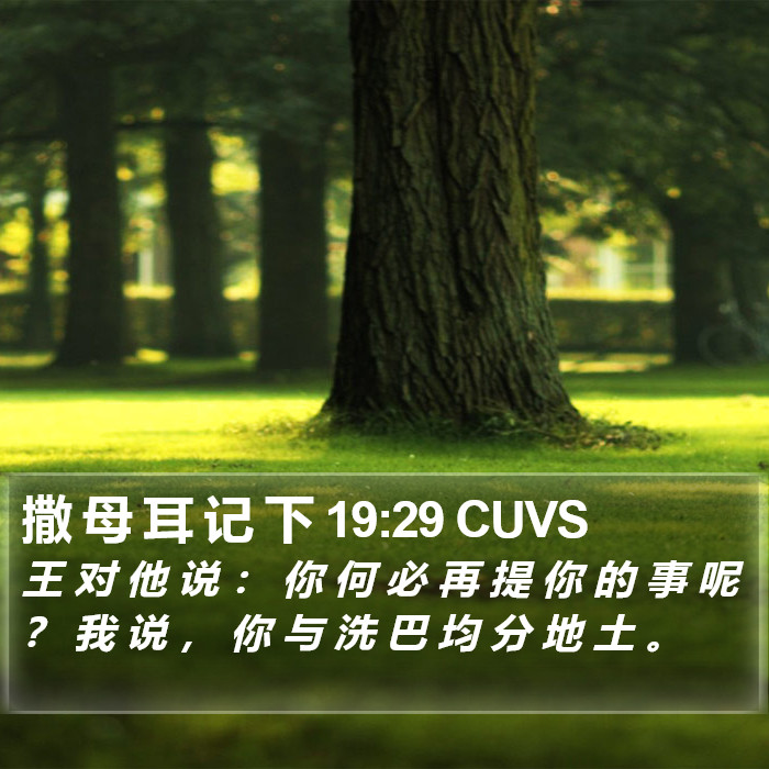 撒 母 耳 记 下 19:29 CUVS Bible Study