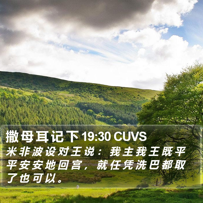 撒 母 耳 记 下 19:30 CUVS Bible Study