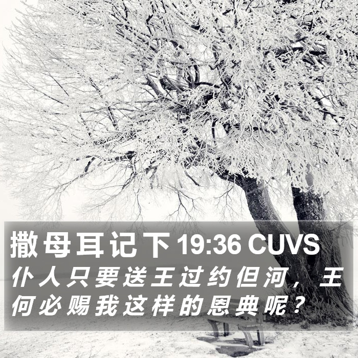 撒 母 耳 记 下 19:36 CUVS Bible Study