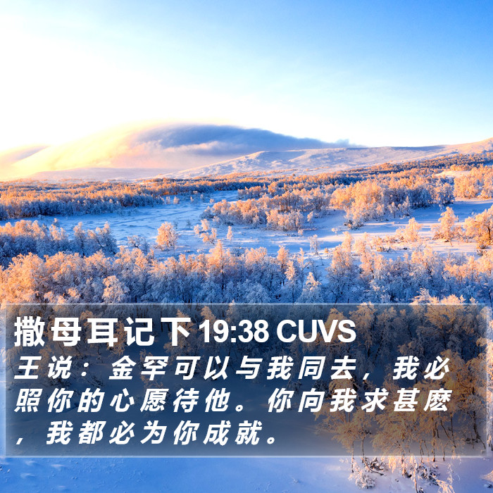 撒 母 耳 记 下 19:38 CUVS Bible Study