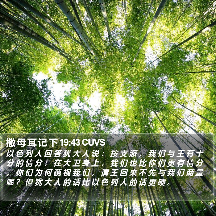 撒 母 耳 记 下 19:43 CUVS Bible Study