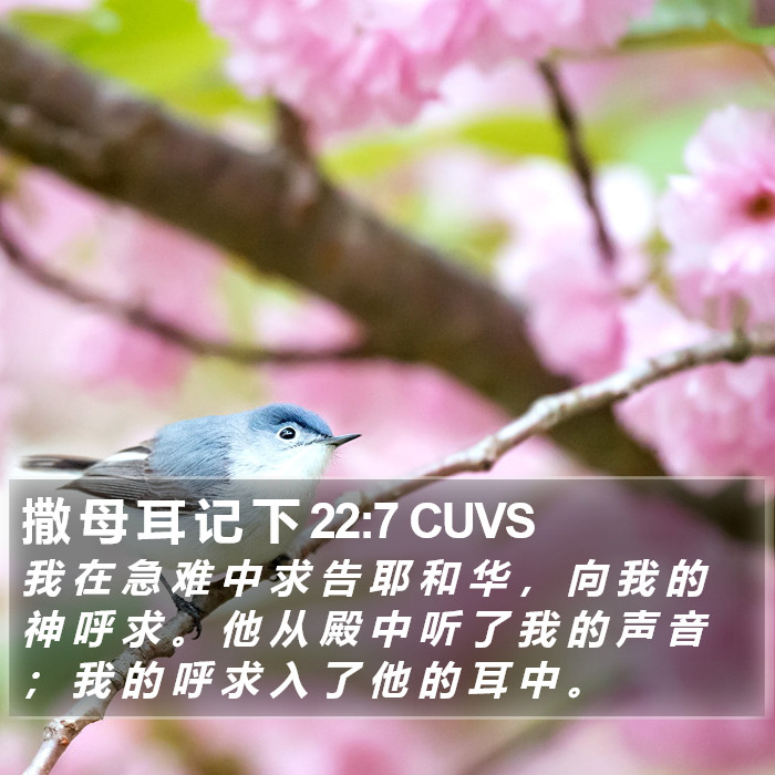 撒 母 耳 记 下 22:7 CUVS Bible Study