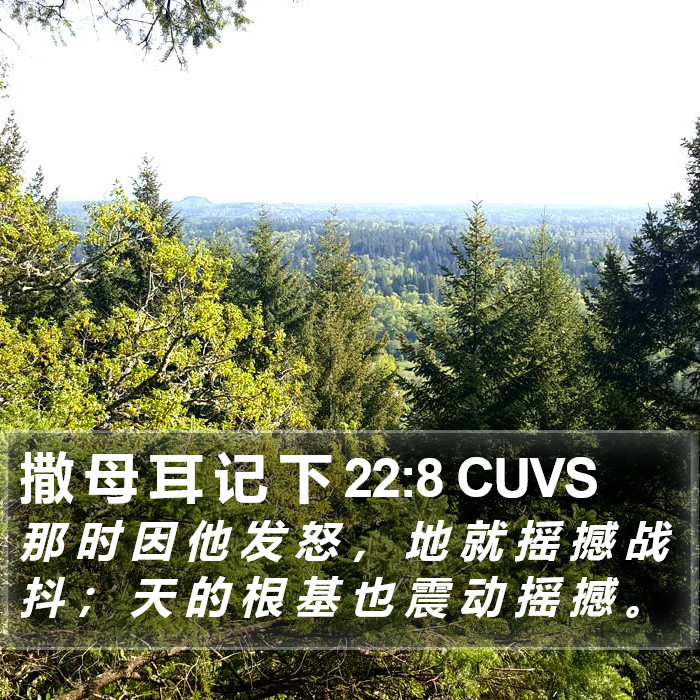 撒 母 耳 记 下 22:8 CUVS Bible Study