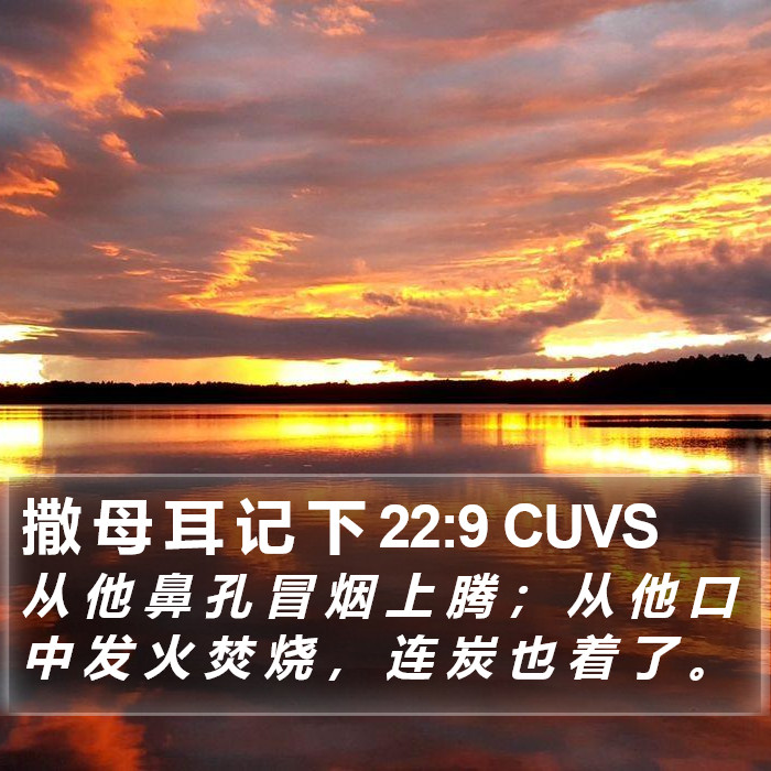 撒 母 耳 记 下 22:9 CUVS Bible Study