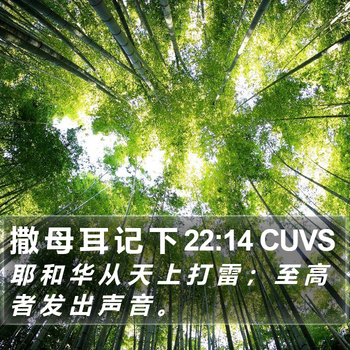 撒 母 耳 记 下 22:14 CUVS Bible Study
