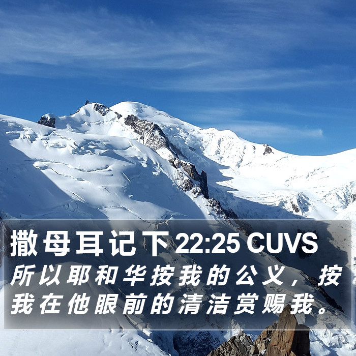 撒 母 耳 记 下 22:25 CUVS Bible Study