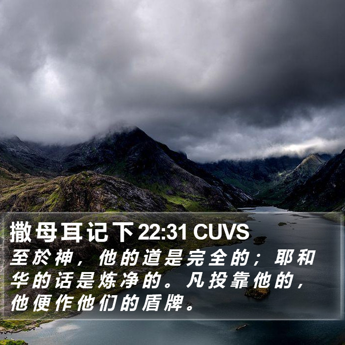 撒 母 耳 记 下 22:31 CUVS Bible Study