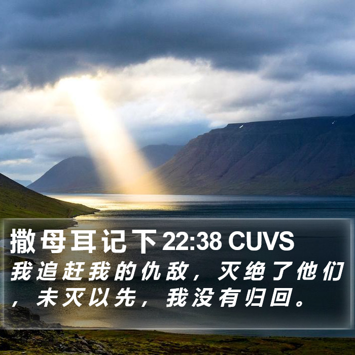 撒 母 耳 记 下 22:38 CUVS Bible Study